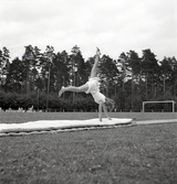 Uppvisning på matta av kvinnlig gymnast under Gymnastikens dag.