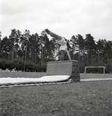 Uppvisning på plint av kvinnlig gymnast under Gymnastikens dag.