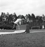 Uppvisning på plint av kvinnliga gymnaster på Gymnastikens dag.