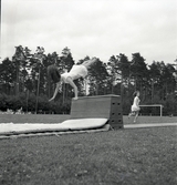 Gymnastikuppvisning på plint av några kvinnliga gymnaster på Gymnastikens dag.