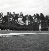 Gymnastikuppvisning på matta (och trol. plint) av kvinnliga gymnaster på Gymnastikens dag.