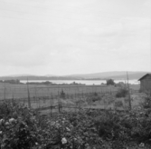 Borlänge, Torsång, utsikt från Sunnanö 1921-1926.