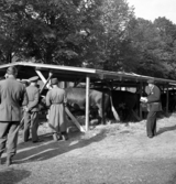 Foto av de tillfälliga kreaturstallarna vid lantbruksmötet. 
Några intresserade herrar står och begrundar något.