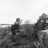 Sigtuna