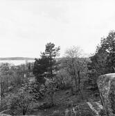 Sigtuna