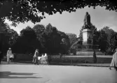 Genom Humlegården