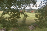 Eds prästgård