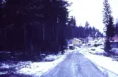 Tjusarstigen