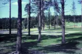 Hökmossbadet