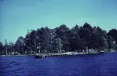 Hökmossbadet