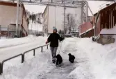 En kvinna promenerar med två hundar nerför Kråkan i Mölndals Kvarnby efter snöstormen den 17 november 1995. I bakgrunden industribyggnad tillhörande Soab samt byggnaden 