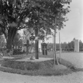 Hedemora, Garpenberg. Kyrkan. Järnvård med uttaget kors och stjärna. 
1929-1930.