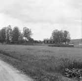 Borlänge, Torsång, Milsbo. Stennors stuga 1926.