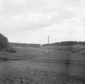 Borlänge, Torsång, Skålmyra 1926.