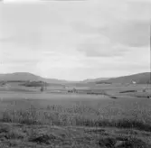 Borlänge, Stora Tuna. Solklintsporten från Hemberget.

