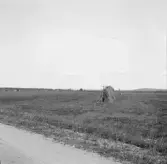 Borlänge, Stora Tuna, Övre Svärdsjö. Från slätten mellan Övre Svärdsjö och Hovgården.