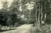 Övre verkstaden och dammen vid Färna herrgård, ca 1920