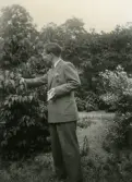 Johan Gripenstedt i trädgården vid Nynäs slott, 1940-tal
