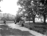 Okänd park vid större hus. Möjligen Asa Herrgård. Sent 1800-tal.