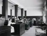 Sydsvenska Kredit AB, ca. 1910. Bankanställda, med kontorschef Hjalmar Petri i bakgrunden.