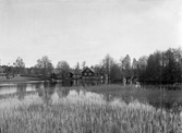 Kvarn vid kvarndamm. Ca. 1900, okänd plats i Kronobergs län.