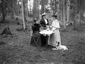 Tre damer dricker kaffe i skogsglänta. Braås 1897. Fru Junlander.