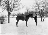 Löjtnant Forsberg från Räppe med häst. Vinterbild, ca 1910-tal.