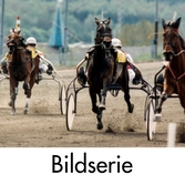 Serie om 5 fotografier som visar travloppet Drottning Silvias Pokal på Åbytravet i Åby, Mölndal, den 7 maj 1994. Segrade gjorde Christer Nylander med Serena. Prinsessan Désirée var på plats vid travbanan.