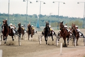 Travloppet Drottning Silvias Pokal på Åbytravet i Åby, Mölndal, den 7 maj 1994. Segrade gjorde Christer Nylander med Serena.