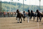 Travloppet Drottning Silvias Pokal på Åbytravet i Åby, Mölndal, den 7 maj 1994. Segrade gjorde Christer Nylander med Serena.