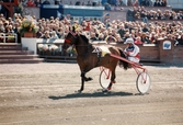 Travloppet Olympiatravet på Åbytravet i Åby, Mölndal, den 13 april 1996. Ett travekipage på travbanan. Segrade gjorde Erik Berglöf med Copiad.