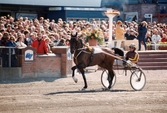 Travloppet Olympiatravet på Åbytravet i Åby, Mölndal, den 13 april 1996. Ett travekipage på travbanan. Segrade gjorde Erik Berglöf med Copiad.