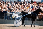 Travloppet Olympiatravet på Åbytravet i Åby, Mölndal, den 13 april 1996. Ett travekipage på travbanan. Segrade gjorde Erik Berglöf med Copiad.