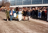 Travloppet Olympiatravet på Åbytravet i Åby, Mölndal, lördagen den 12 april 1997. Segrande travekipaget Lars Marklund och Scandal Play ute på banan efter loppet. Bredvid går friidrottaren Ludmila Engquist och kanotisterna Agneta Andersson och Susanne Gunnarsson.