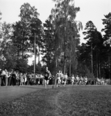 Idrottens dag på Värendsvallen. Sprinterloppet.