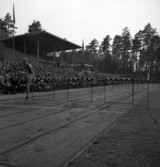 Idrottens dag på Värendsvallen. Häcklöpning.