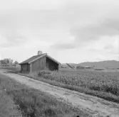 Borlänge, Hesse, smedjan.