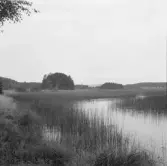 Borlänge, Torsång, Faxsjön, från bronv. Fax, vik åt n.v 1926.