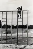 MM i militär femkamp på I11. (1:a i lag: P6, 2:a: I11. Individuell segrare: Claes Friberg, I11).
Augusti 1966. Hinderlöpning över klätterställning.