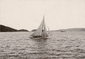 En segelbåt i Byfjorden utanför Gustafsberg.

Stämplad i vänstra hörnet: Maria Lundbäcks Atelier. 1904