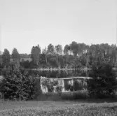 Borlänge, Skomsarby, utsikt över älven.