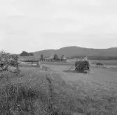 Borlänge, Strandbro och Lintäppen. Forsaklack i bakgrunden.