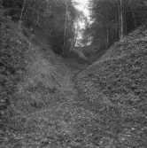 Säter, Gustafs, Backa, Solvarbodalen, Sköl norr om Backa.