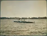 Vänersborg, Vassbotten. Rodd