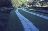 Promenad längst blomstergatan i Stadsparken, 1960-tal