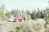 Skogsutflykt, 1960-tal