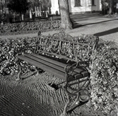 Soffa av smidesjärn på Södra kyrkogården, Kalmar.