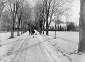 Wattsgård i Alfshög socken. En grupp personer, barn och vuxna, på vinterpromenad med hund i allén. Det minsta barnet sitter på en kälke.