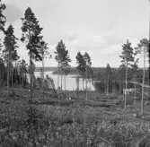 Borlänge, Torsång, Nordanö från Uvberget 1921.