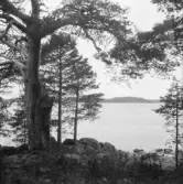 Falun, Vika, Hosjö.